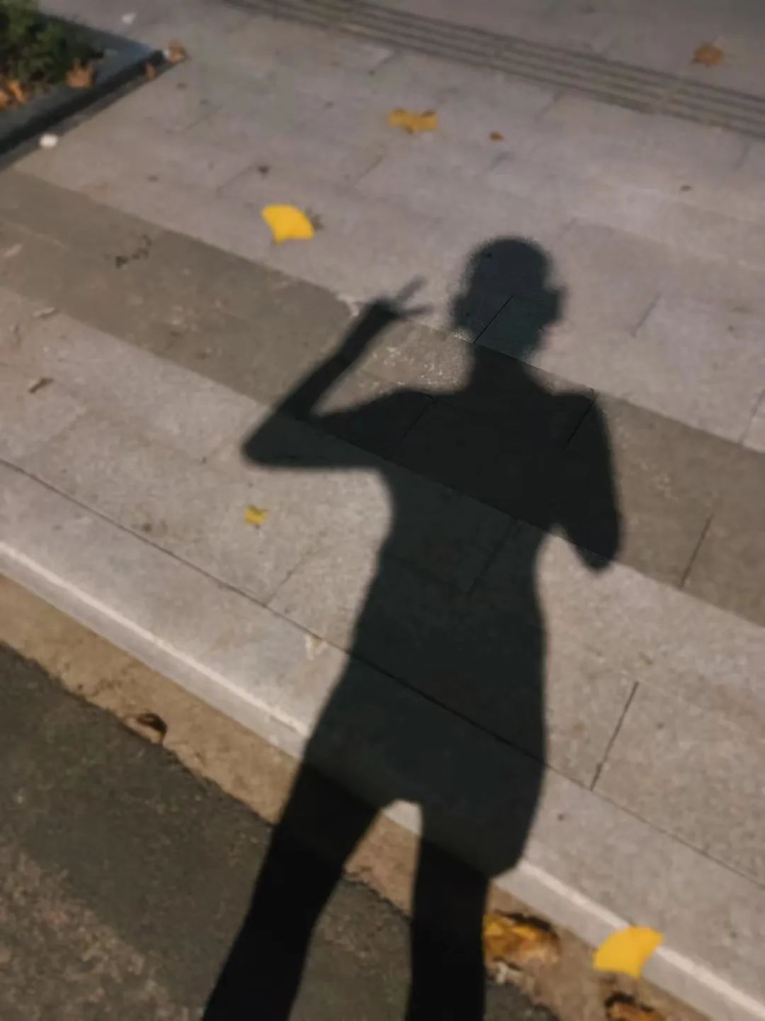 a555c4d1bb86434c9c1803c6285fb2e5.Jpeg a555c4d1bb86434c9c1803c6285fb2e5.Jpeg