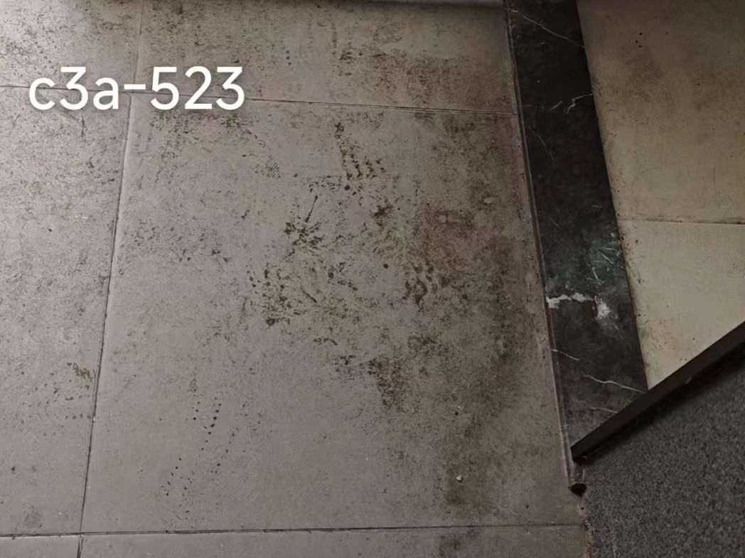 22c72838d4ef440b96c389cc73395de2.Jpeg