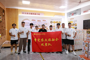 青春实践行｜走进曹宅解锁乡村融合发展新思路